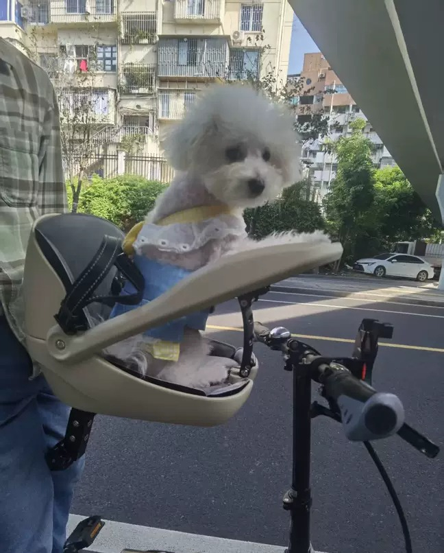 Mountain Biking With Dog - Подходит для складных велосипедов, горных велосипедов,